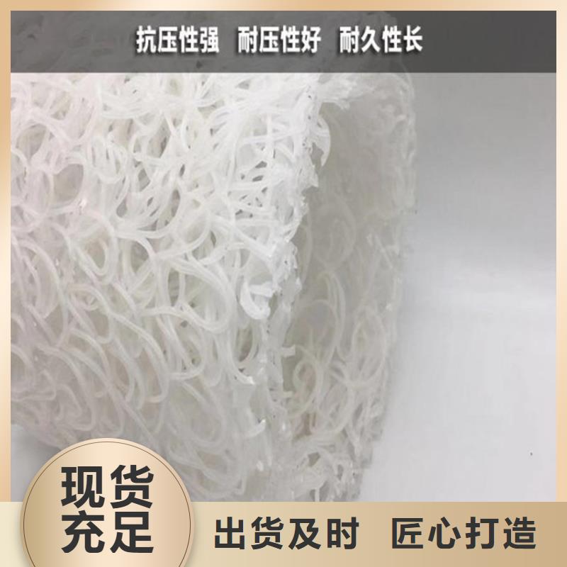 隧道导水塑料盲沟