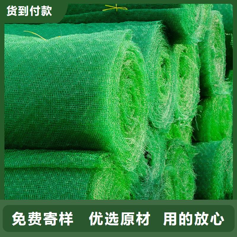 护坡加筋加筋护坡网垫