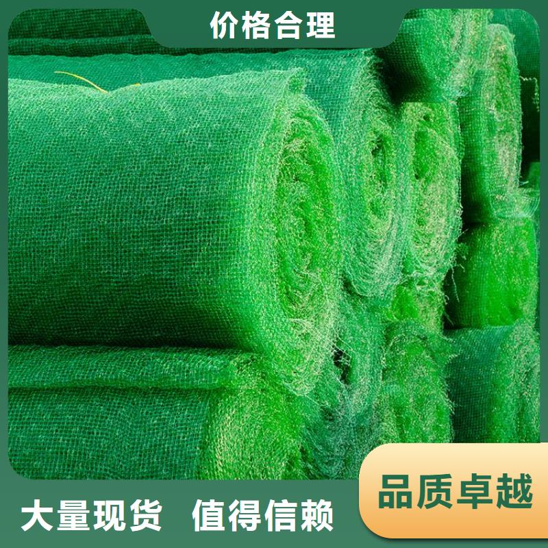 三维植草护坡网垫-三维土工网垫