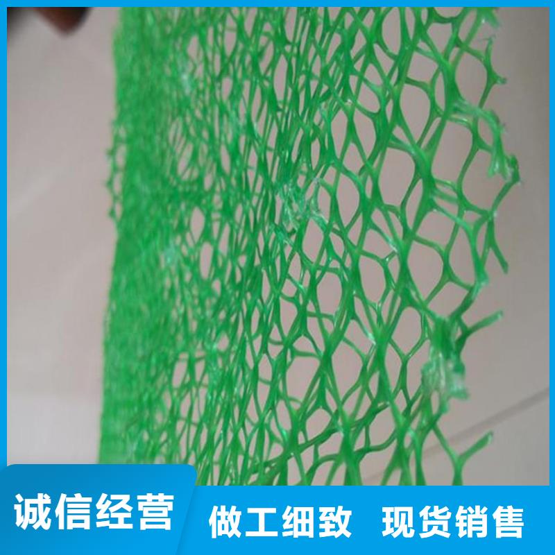 三维植被网#塑料护坡