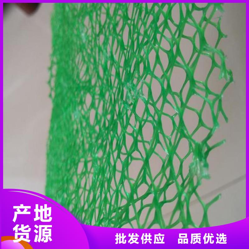 三维植草护坡网垫-三维土工网垫图片参数