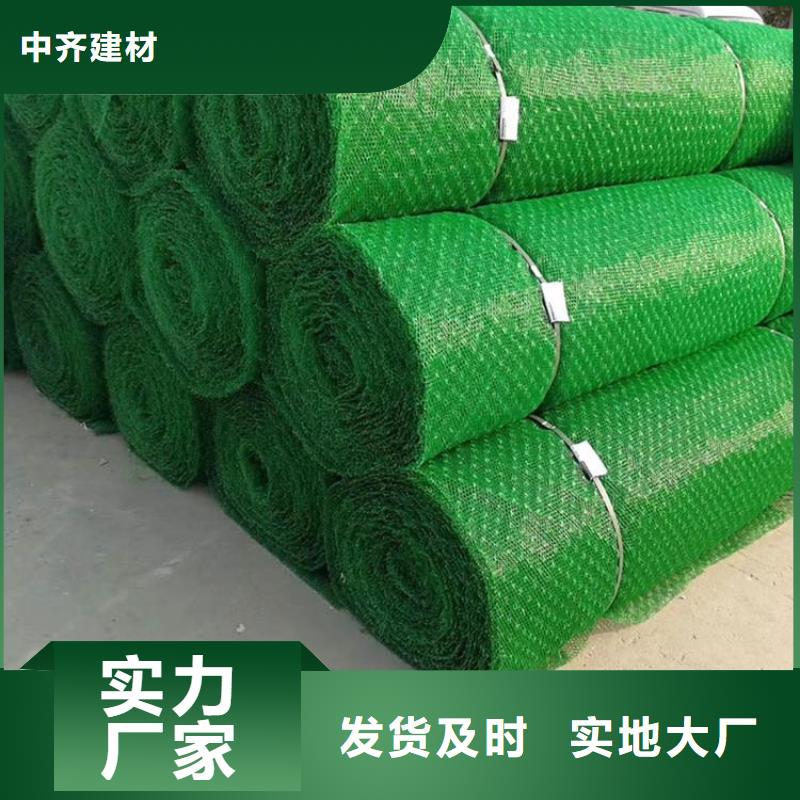 三维植被网现货价格