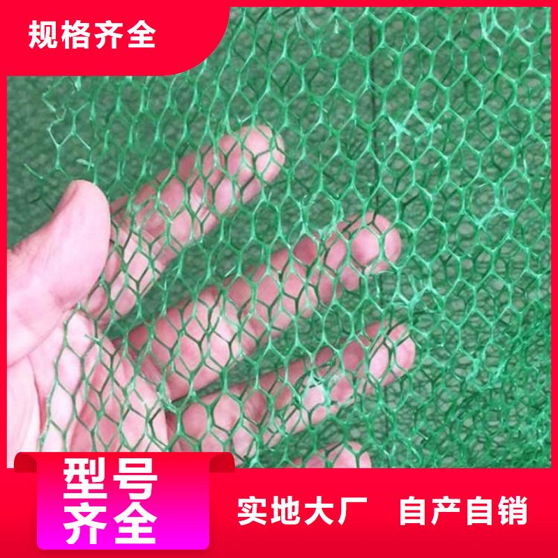 护坡加筋网垫-三维土工网垫公司欢迎您