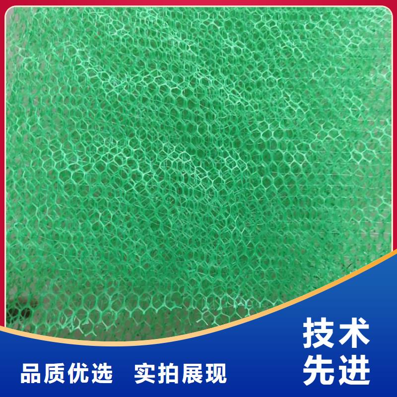 护坡加筋网垫-三维固土网垫