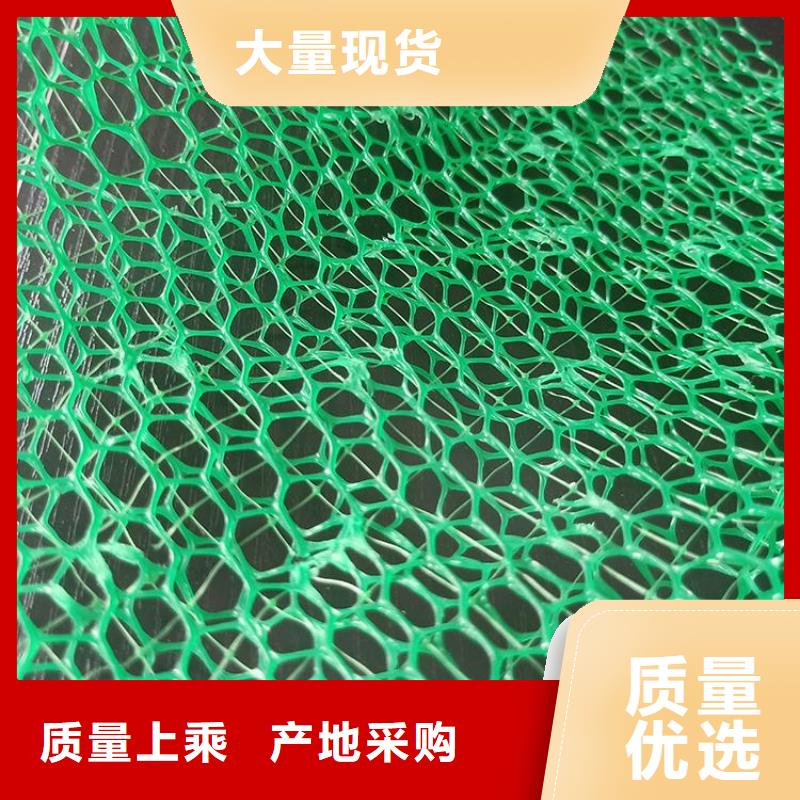 三维固土网垫-EM2三维土工网垫