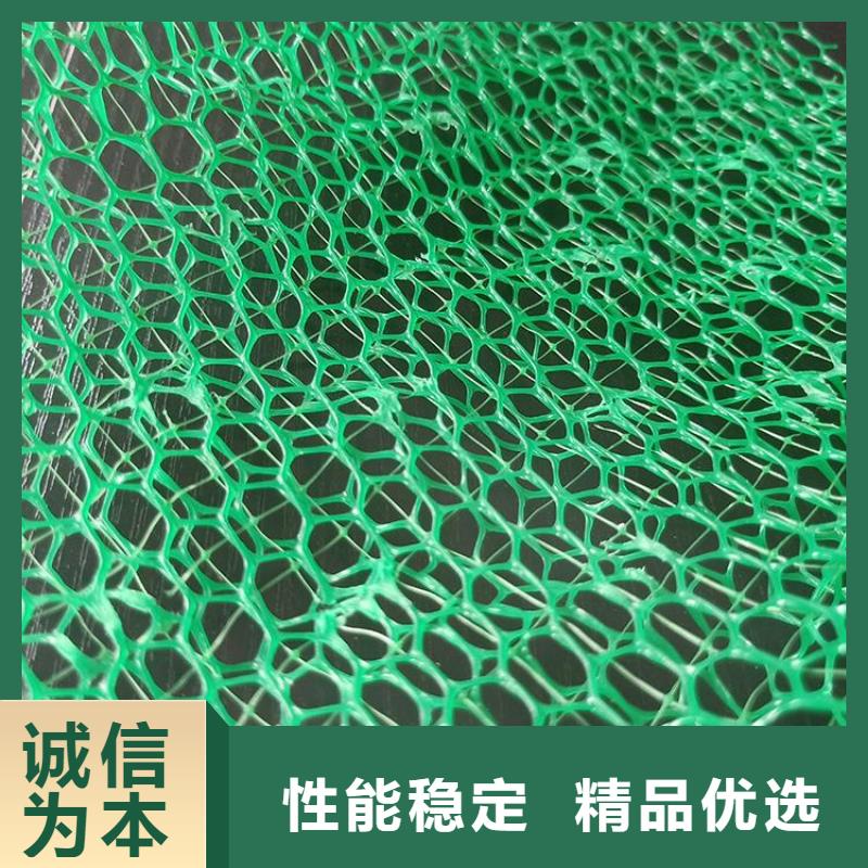 三维植草护坡网垫-三维土工网垫