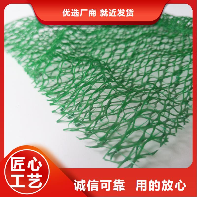 三维护坡植被网垫本地批发