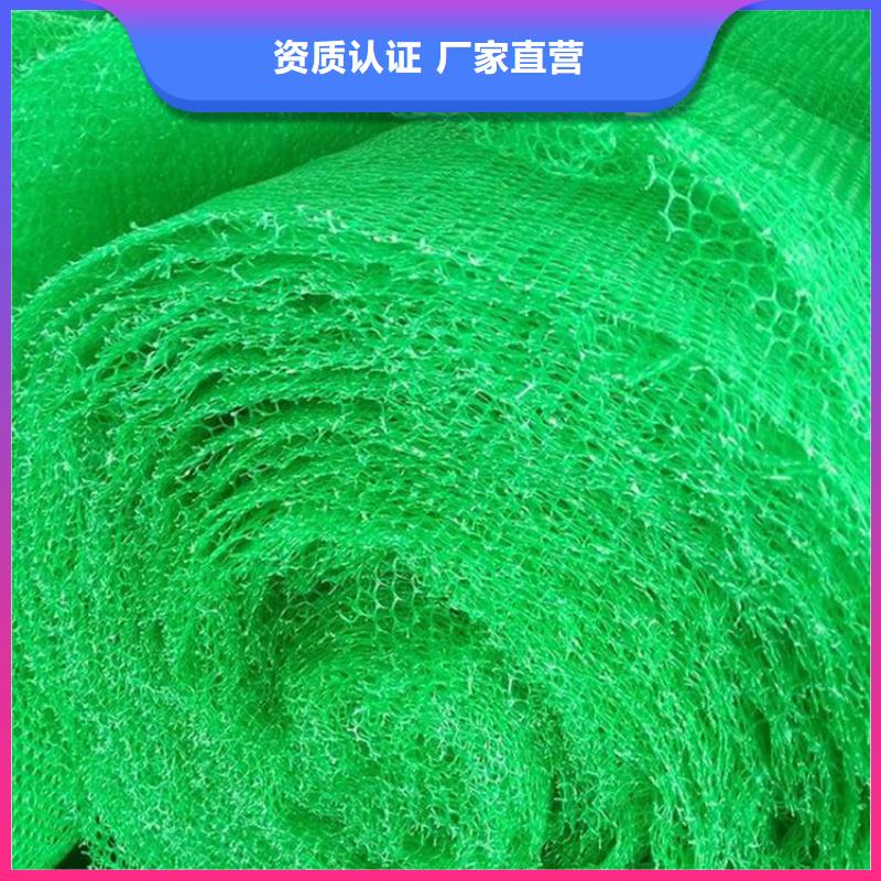 三维土工网垫-边坡三维土工网垫