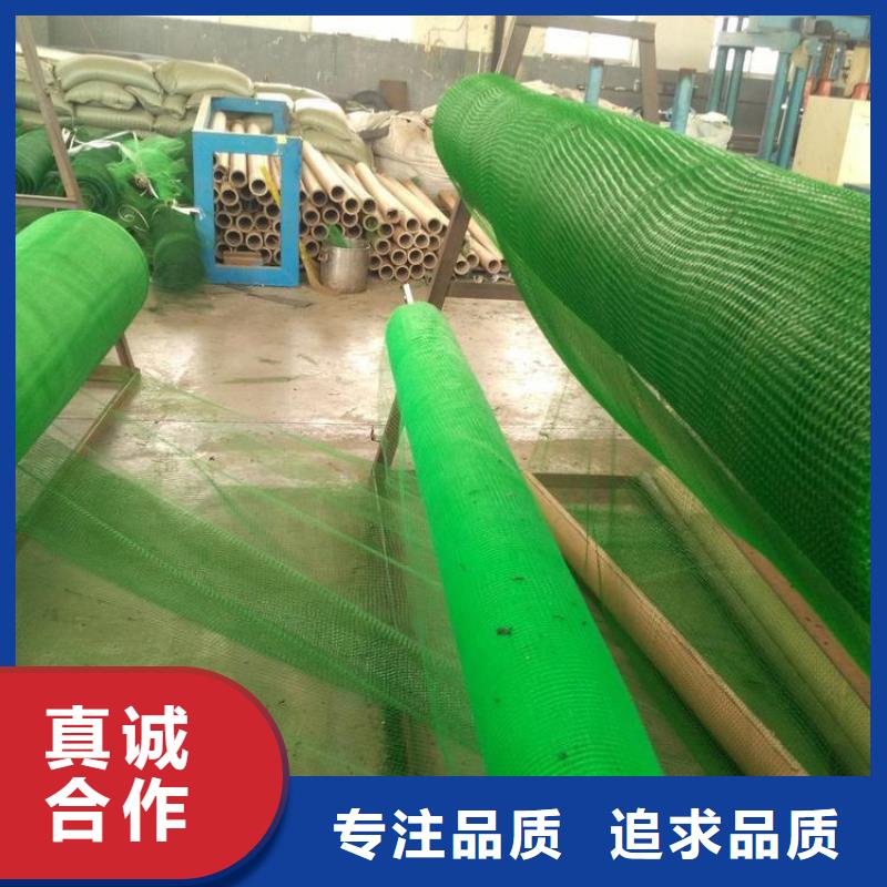 三维植被网钢塑土工格栅品质商家