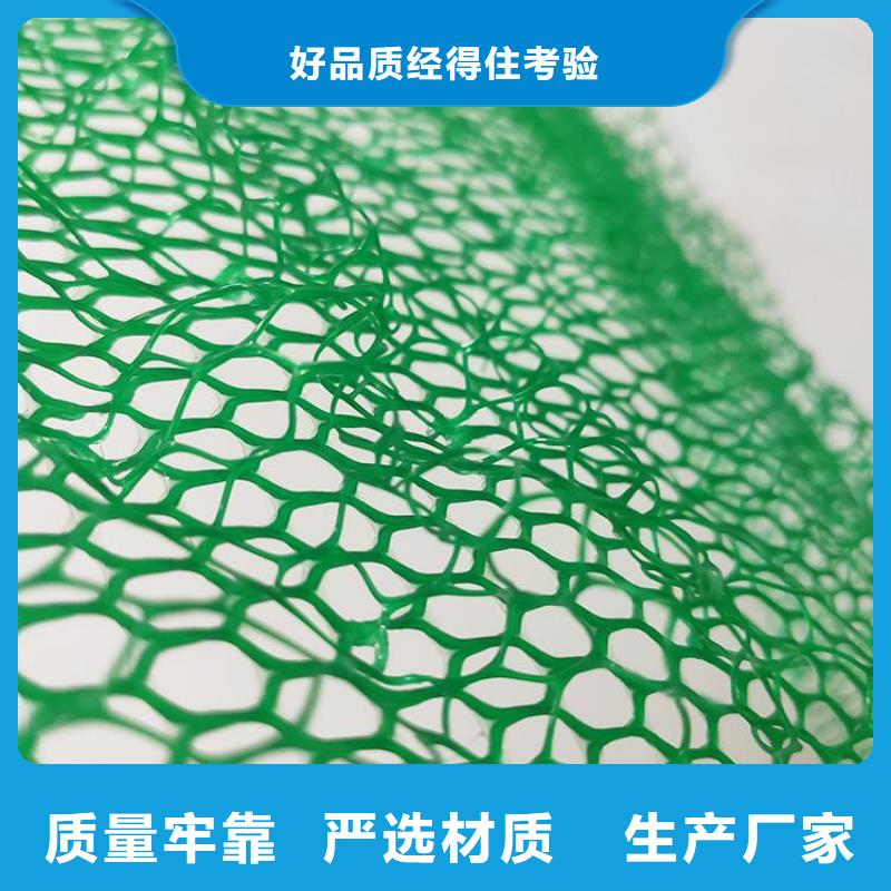 护坡加筋网垫-三维土工网垫