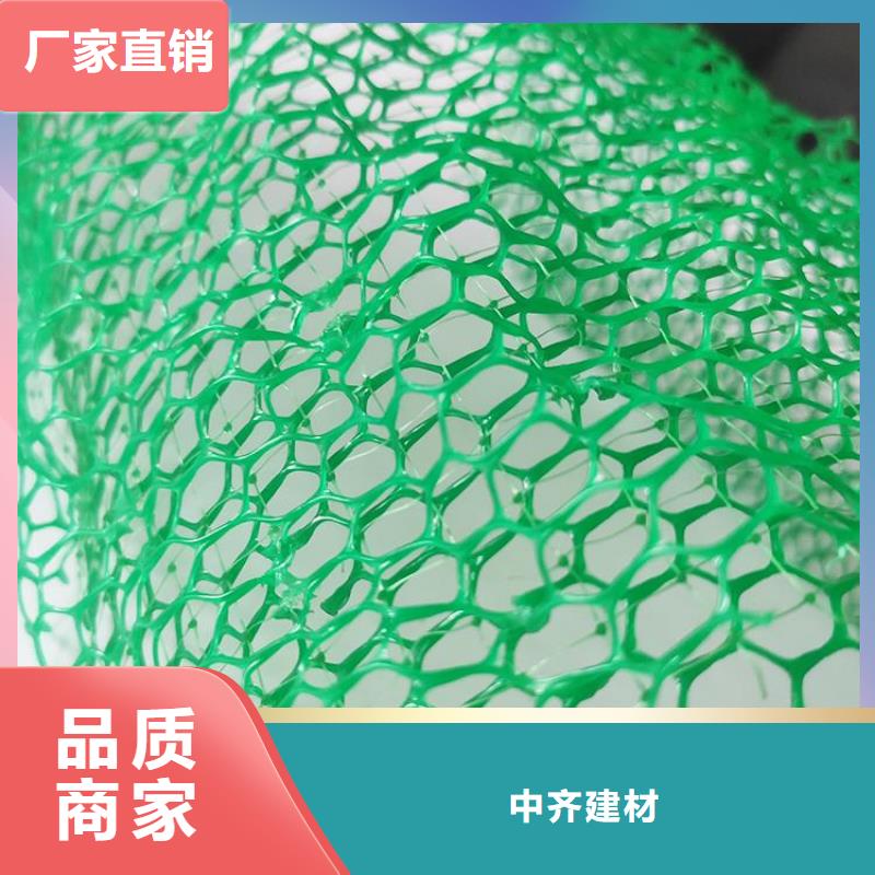 三维植草护坡网垫-三维网垫