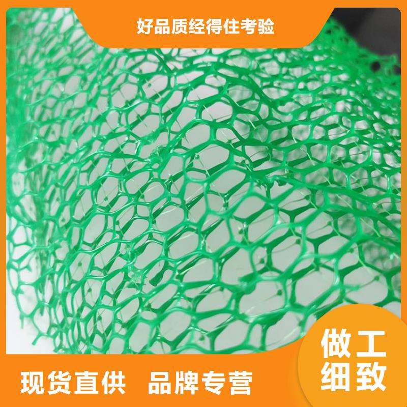 三维土工网垫-边坡三维土工网垫