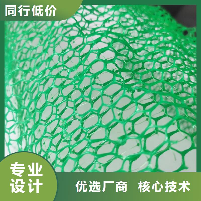 三维土工网垫-EM2三维土工网垫