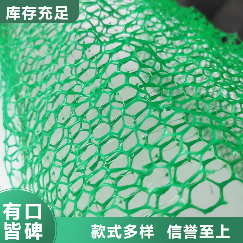 三维植被网_塑料盲沟厂家直销省心省钱
