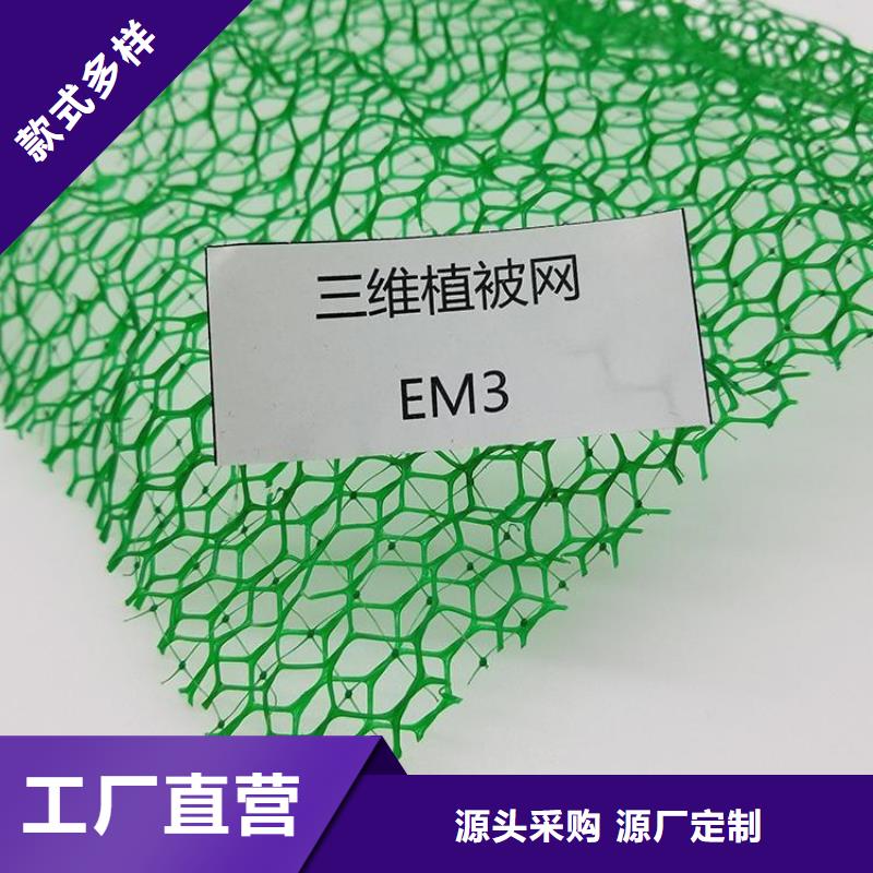 EM2EM4三维土工网垫
