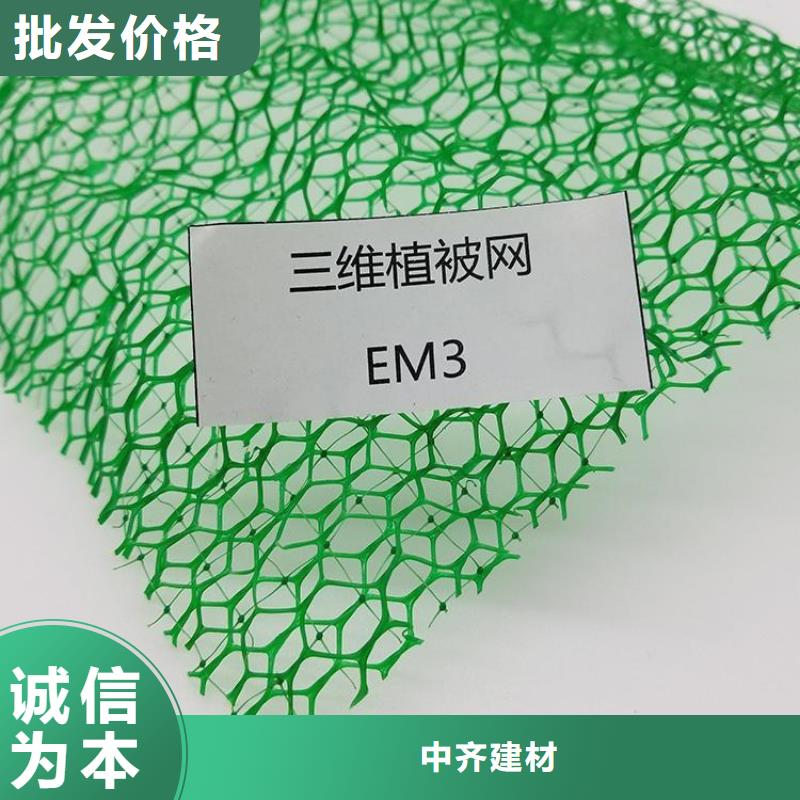 三维植草护坡网垫-三维土工网垫