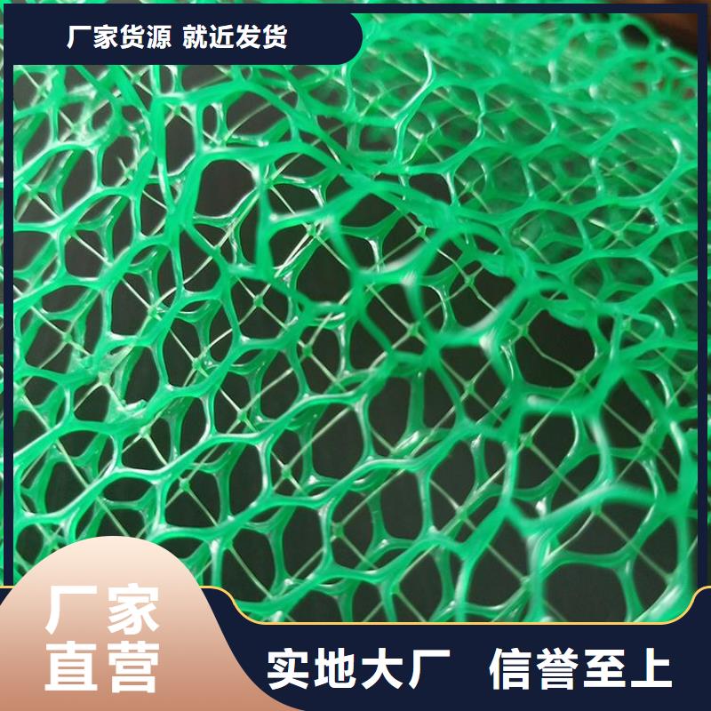 三维土工网垫-三维网植草护坡