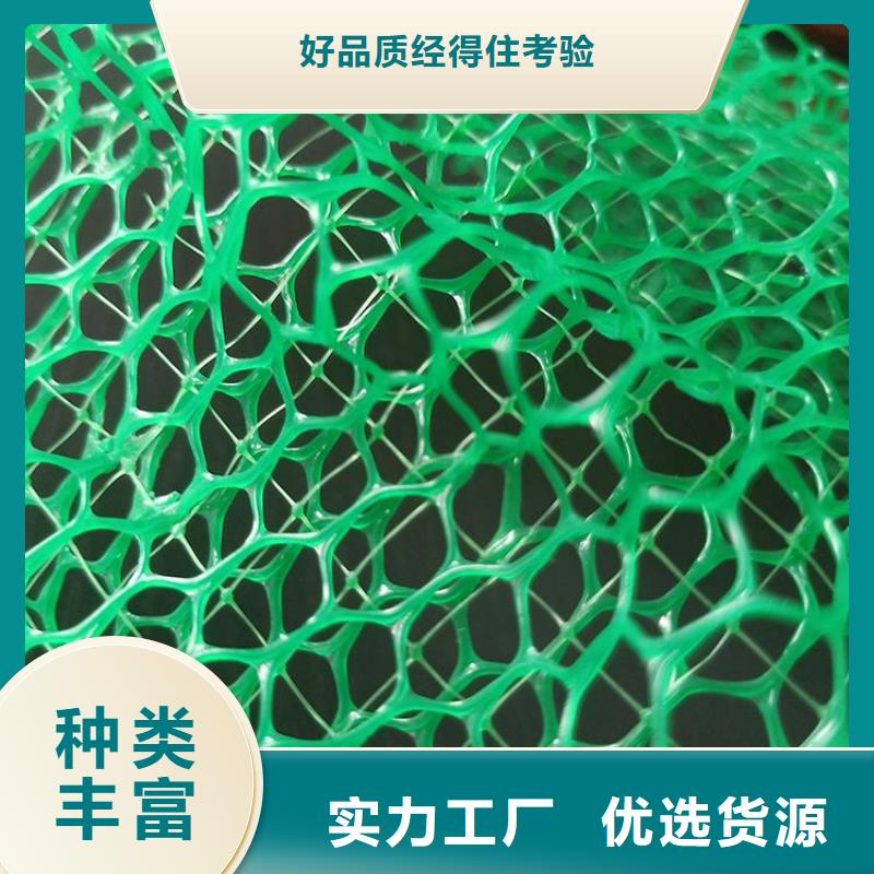环保护坡三维加筋土工网垫