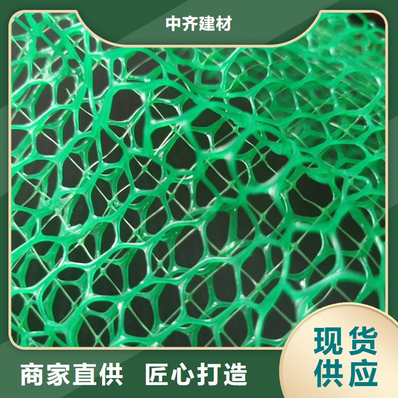 护坡加筋网垫-三维网植草护坡型号结构