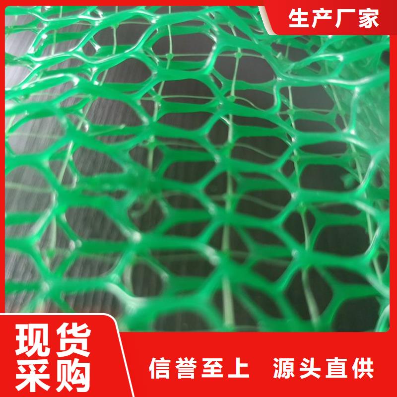 护坡加筋加筋护坡网垫