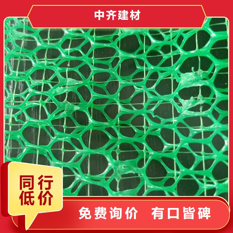 三维固土网垫厂家直销