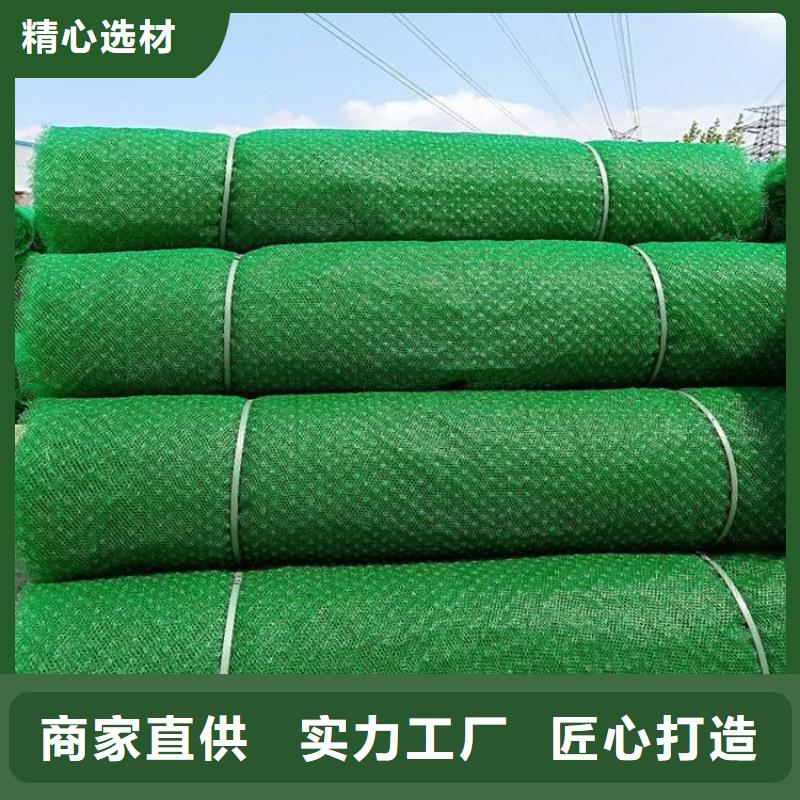 三维植被网植草格好货直供