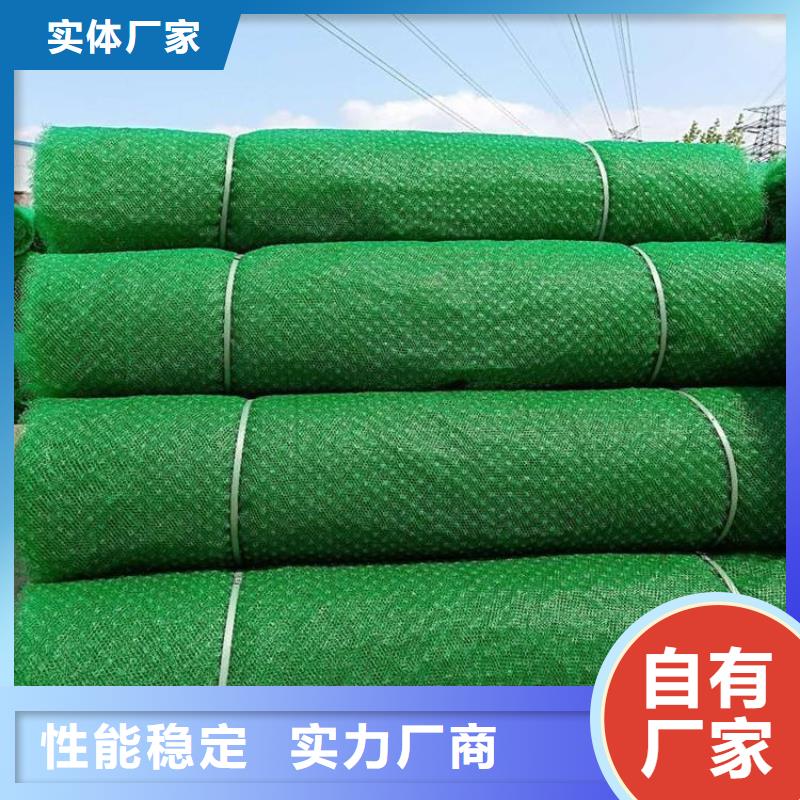 三维加筋土工网垫#环保塑料