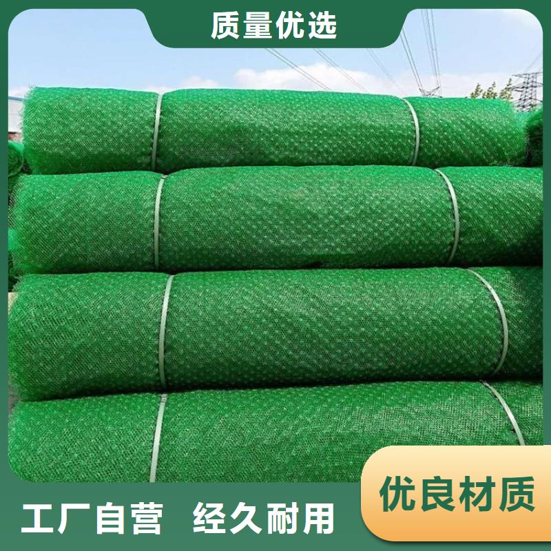 三维土工网垫-边坡三维土工网垫