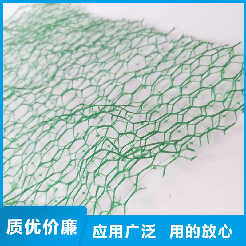 三维加筋土工网垫#环保塑料