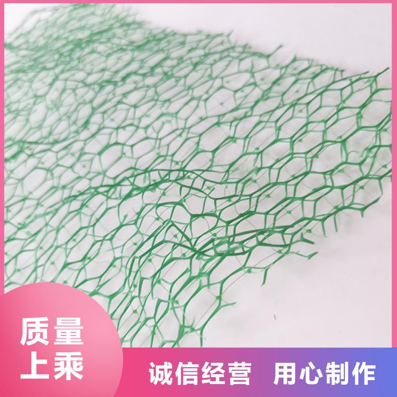 三维植被网植草格好货直供