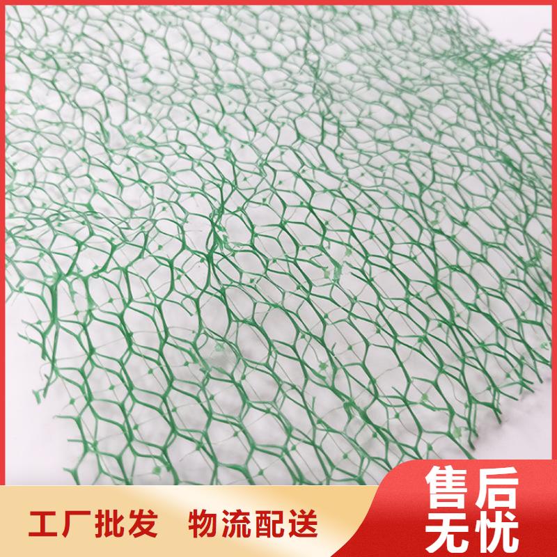 三维护坡植草网垫
