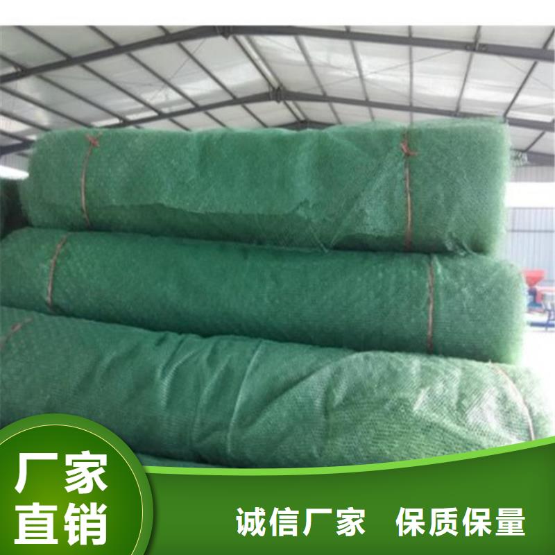 三维护坡植草网垫厂家动态已更新
