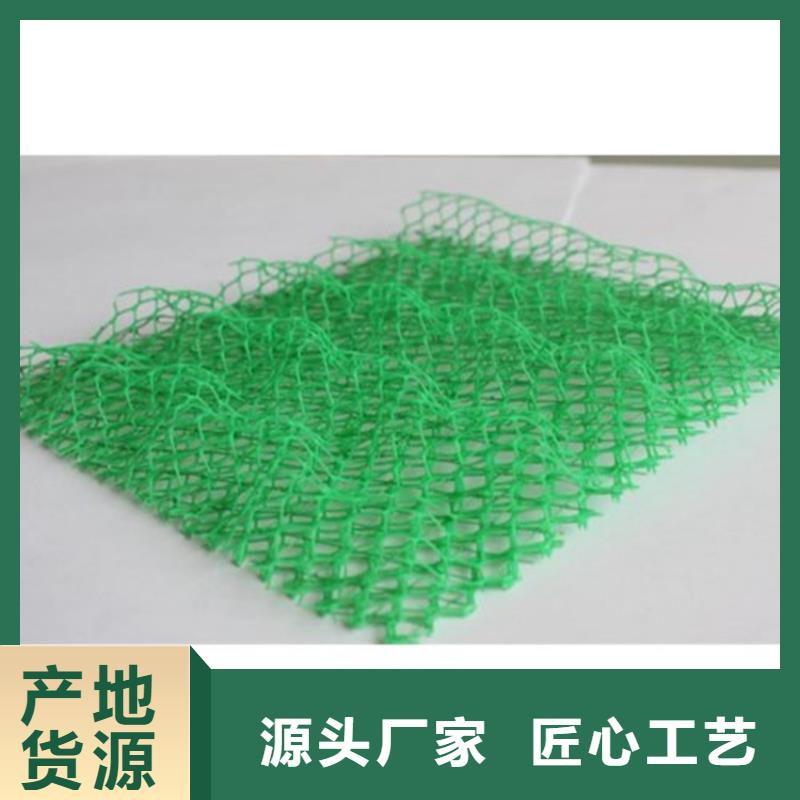 三维固土网垫-EM5三维土工网垫