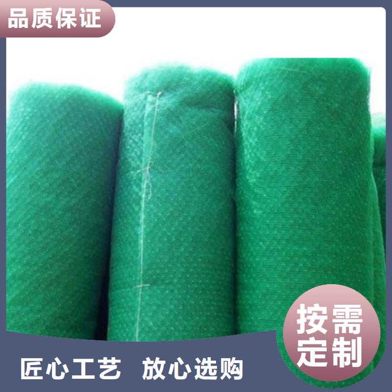 三维加筋土工网垫#环保塑料