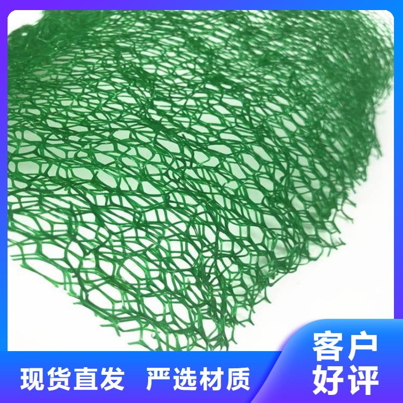 三维土工网垫-边坡三维土工网垫