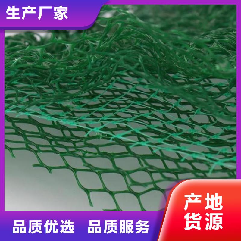 三维加筋土工网垫#环保固土