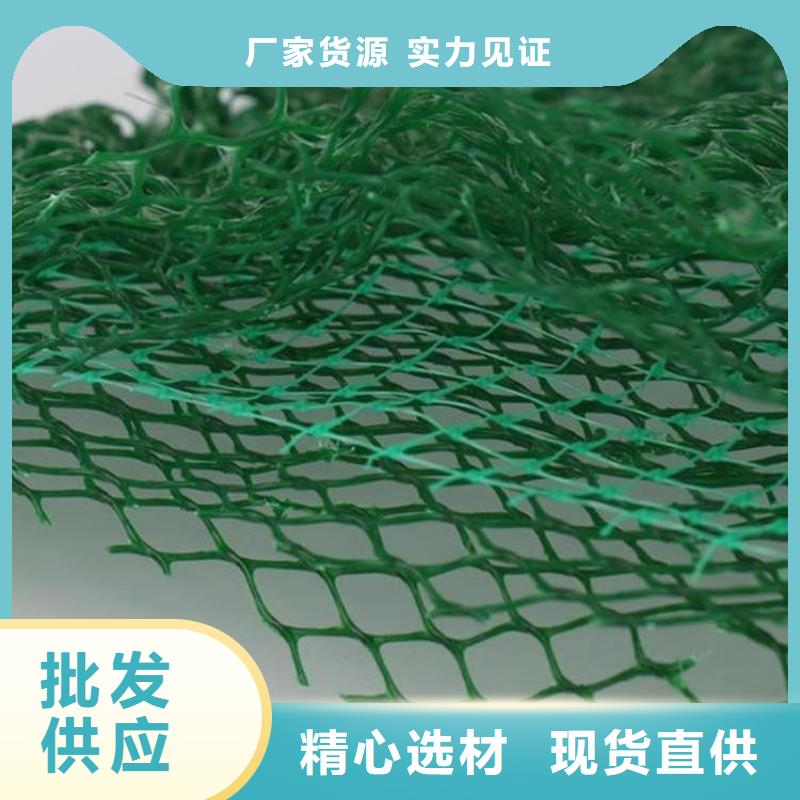 三维植被网-三维土工网产品资讯已更新