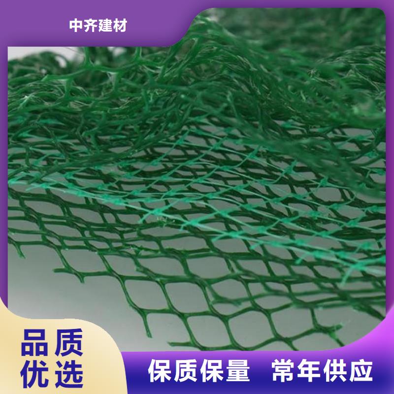 三维植被网-2层3层三维植被网全国发货