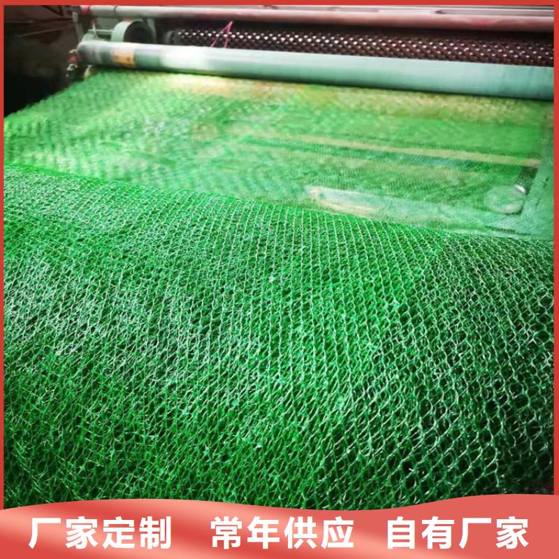 三维土工网垫-三维固土网垫厂家-办事处