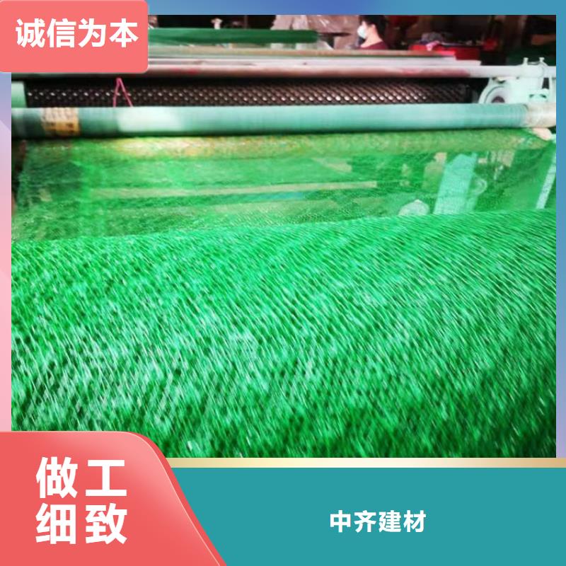 三维植被网现货价格