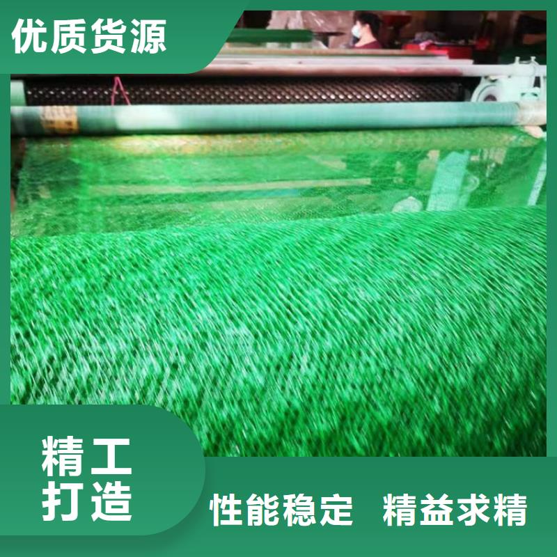 三维植被网#塑料护坡