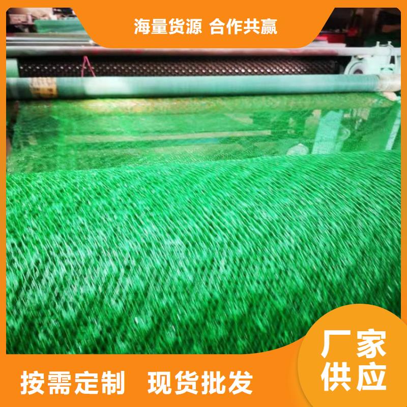 三维植草护坡网垫-三维土工网垫