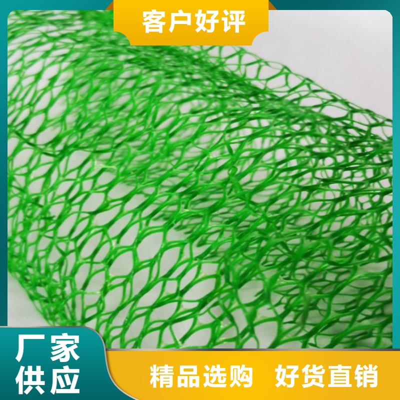 三维植被网膨润土防水毯实力公司