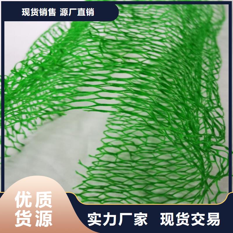 三维护坡植被网垫#草皮固土