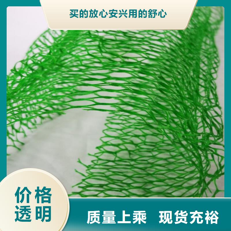 塑料固土三维护坡植被网垫
