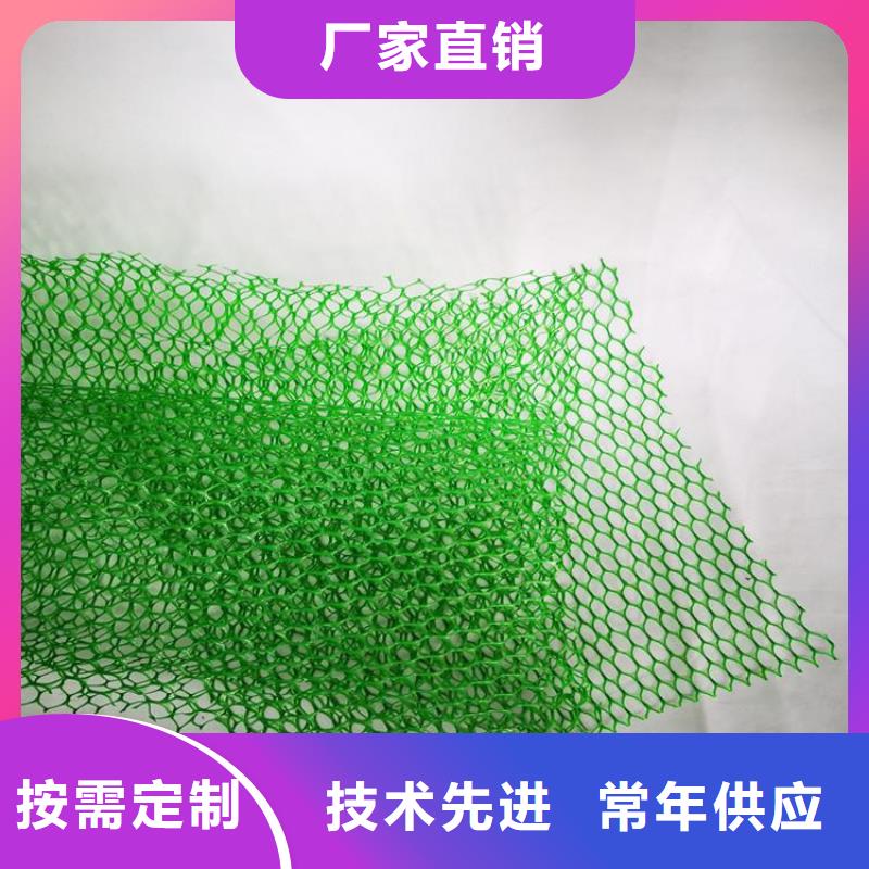 三维加筋土工网垫#EM4EM5