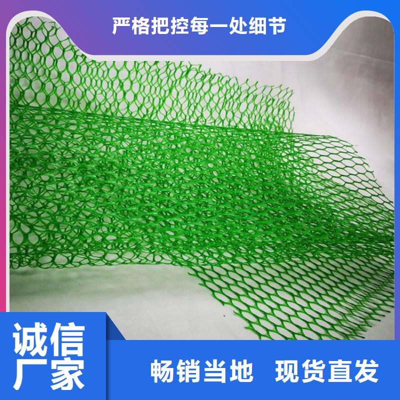 护坡加筋网垫-三维网植草护坡型号结构
