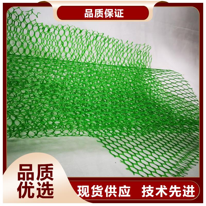 三维护坡加筋网垫#护坡加筋