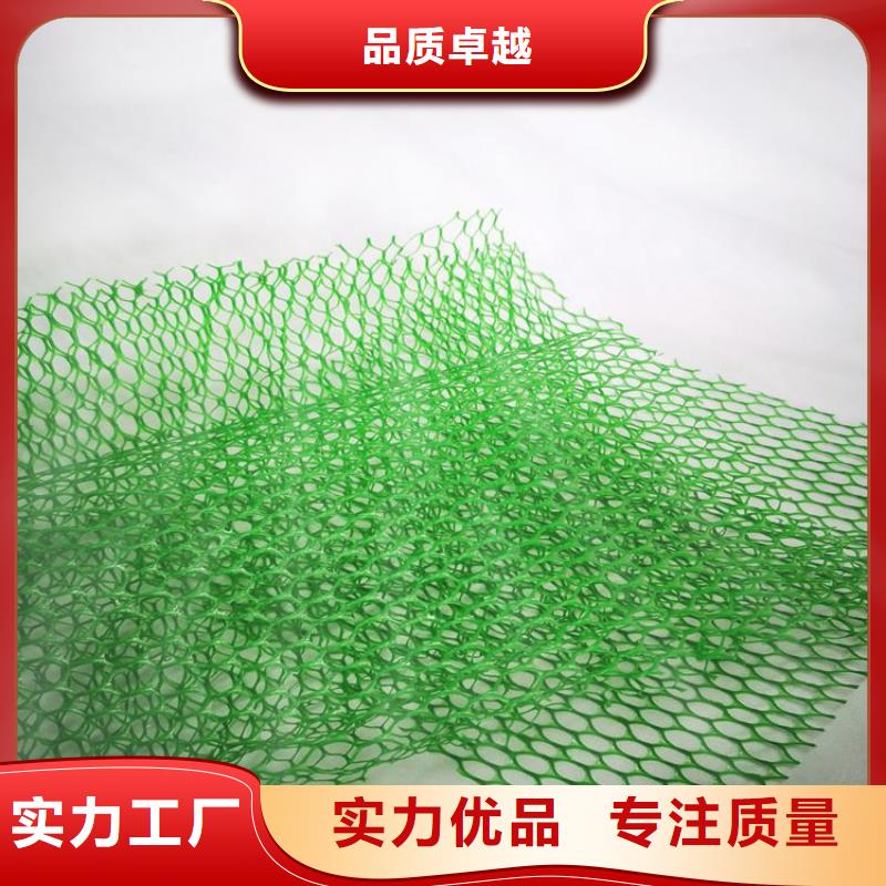 护坡加筋网垫-三维网植草护坡型号结构