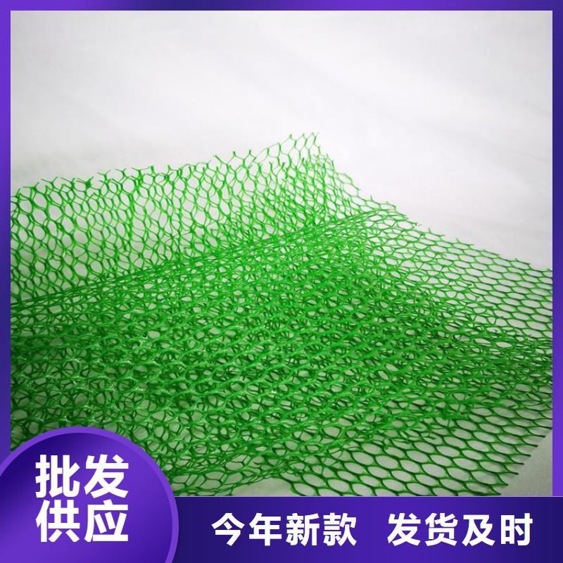 三维植被网植草格好货直供